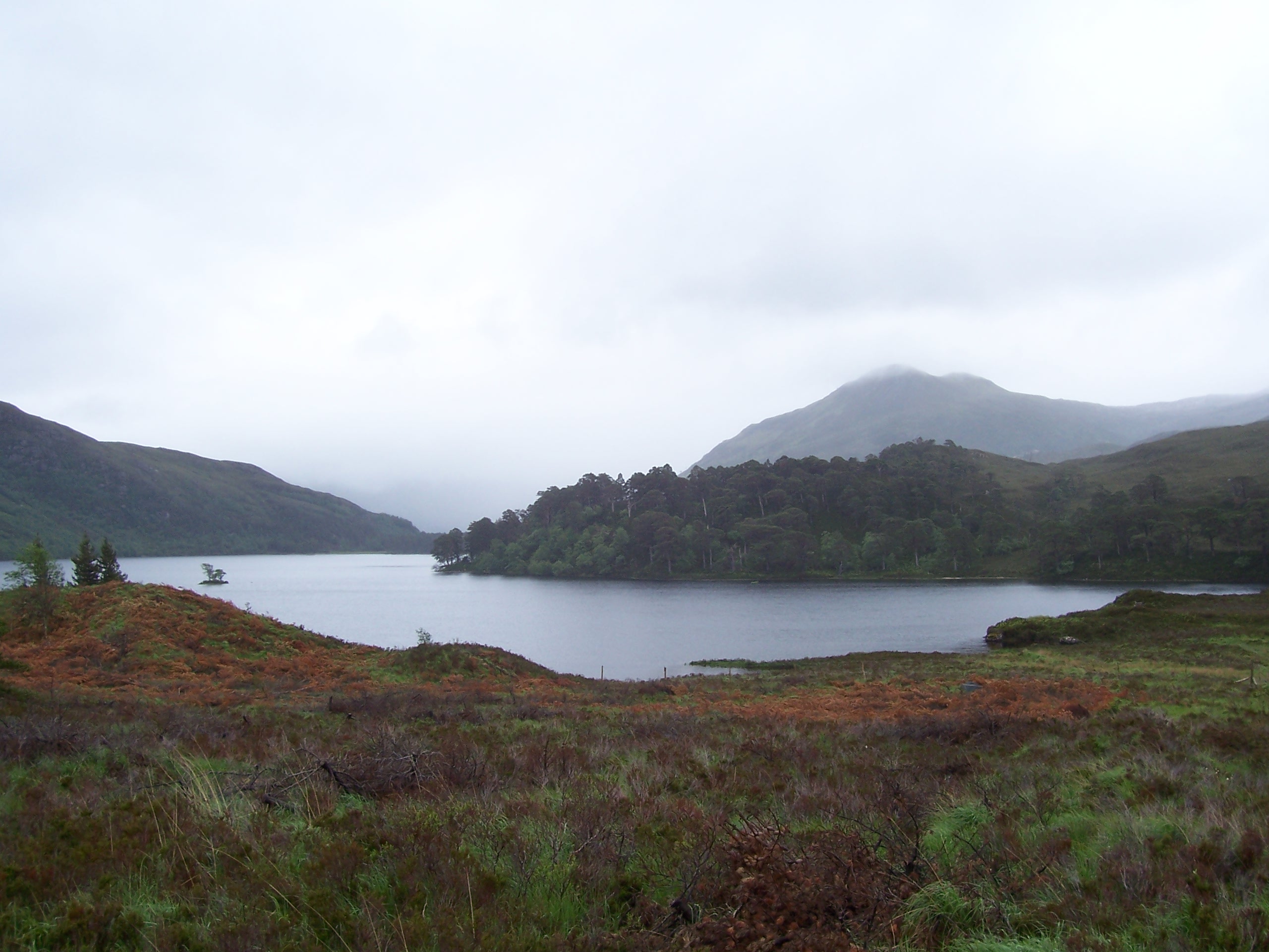 Glen To
rridon